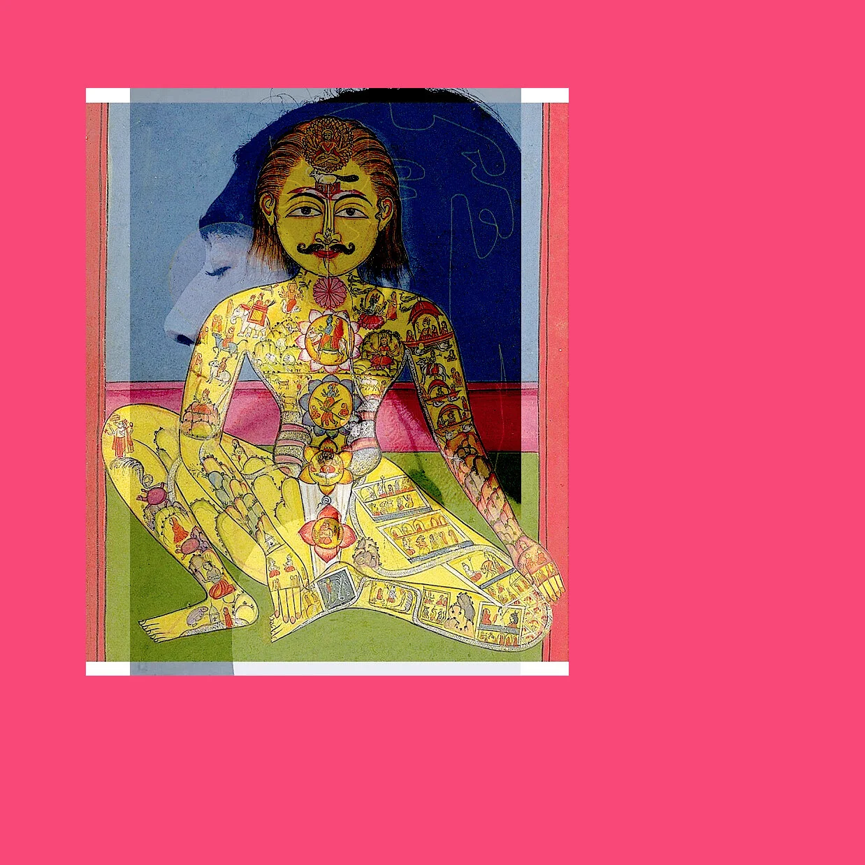 Model Enlight 2.29.20.jpg