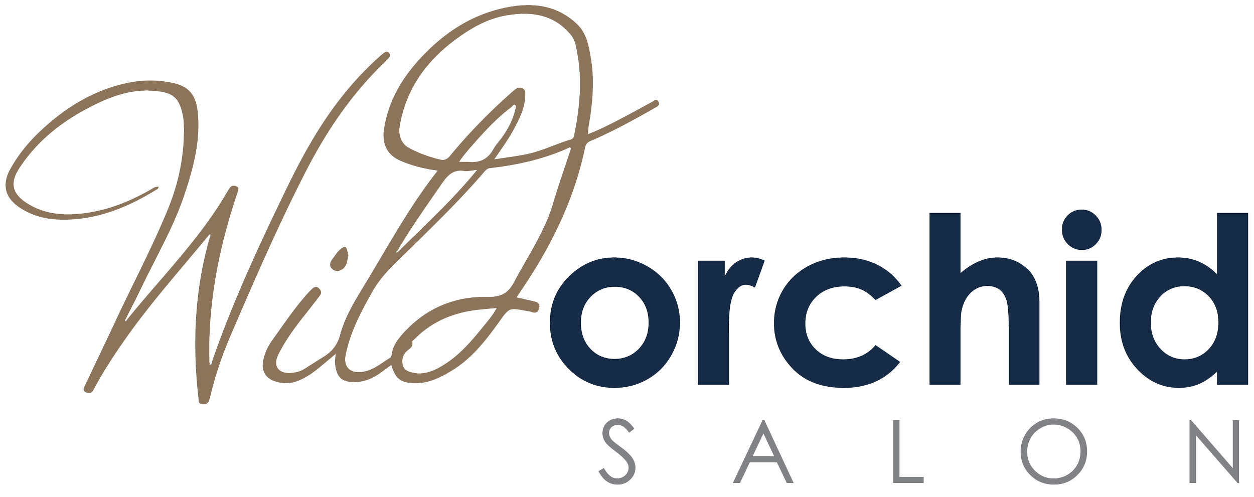 WildOrchid Salon Logo 2_Color.png