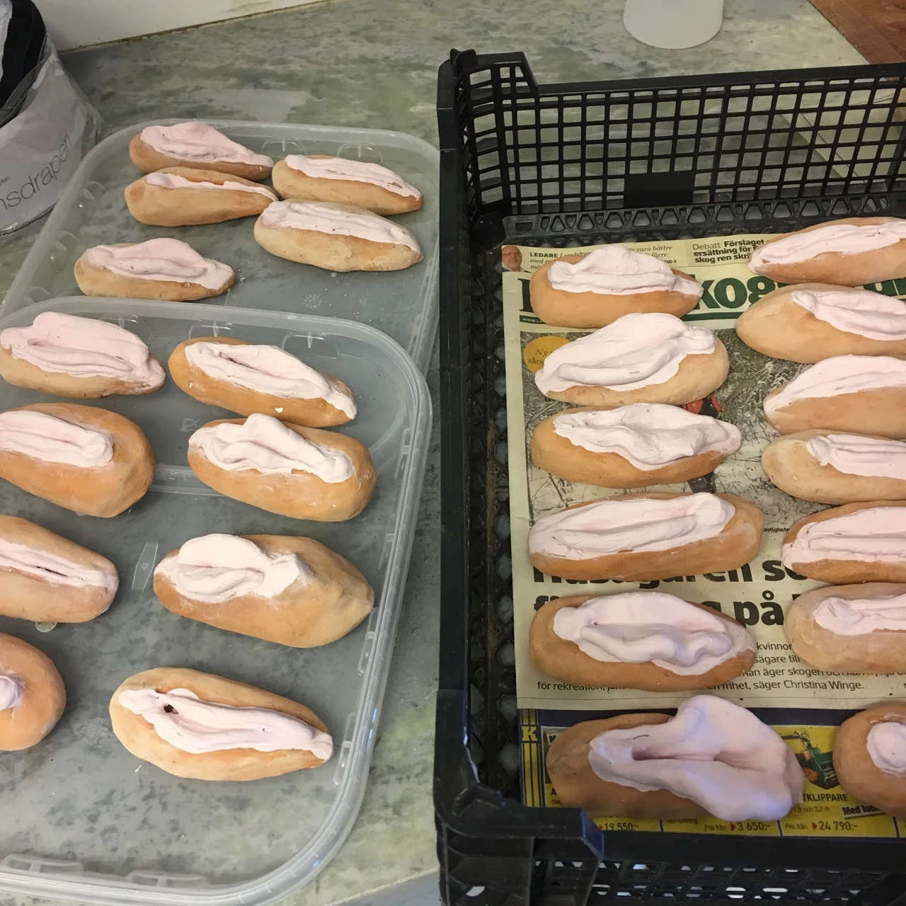 GUARDIAN VAGINAS in progress by Ganga.jpg