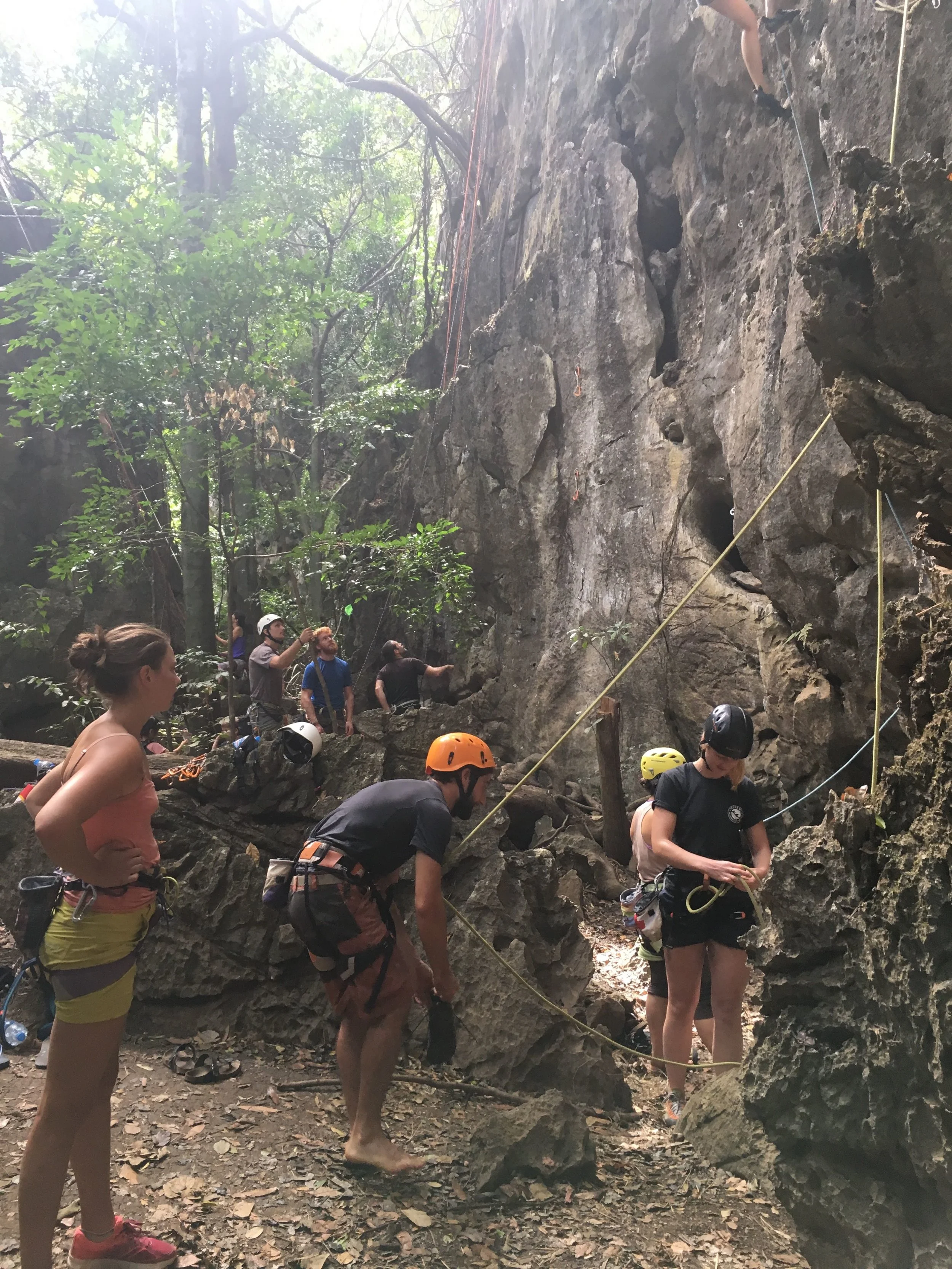 Thakek Green Climbers | Regina Beach