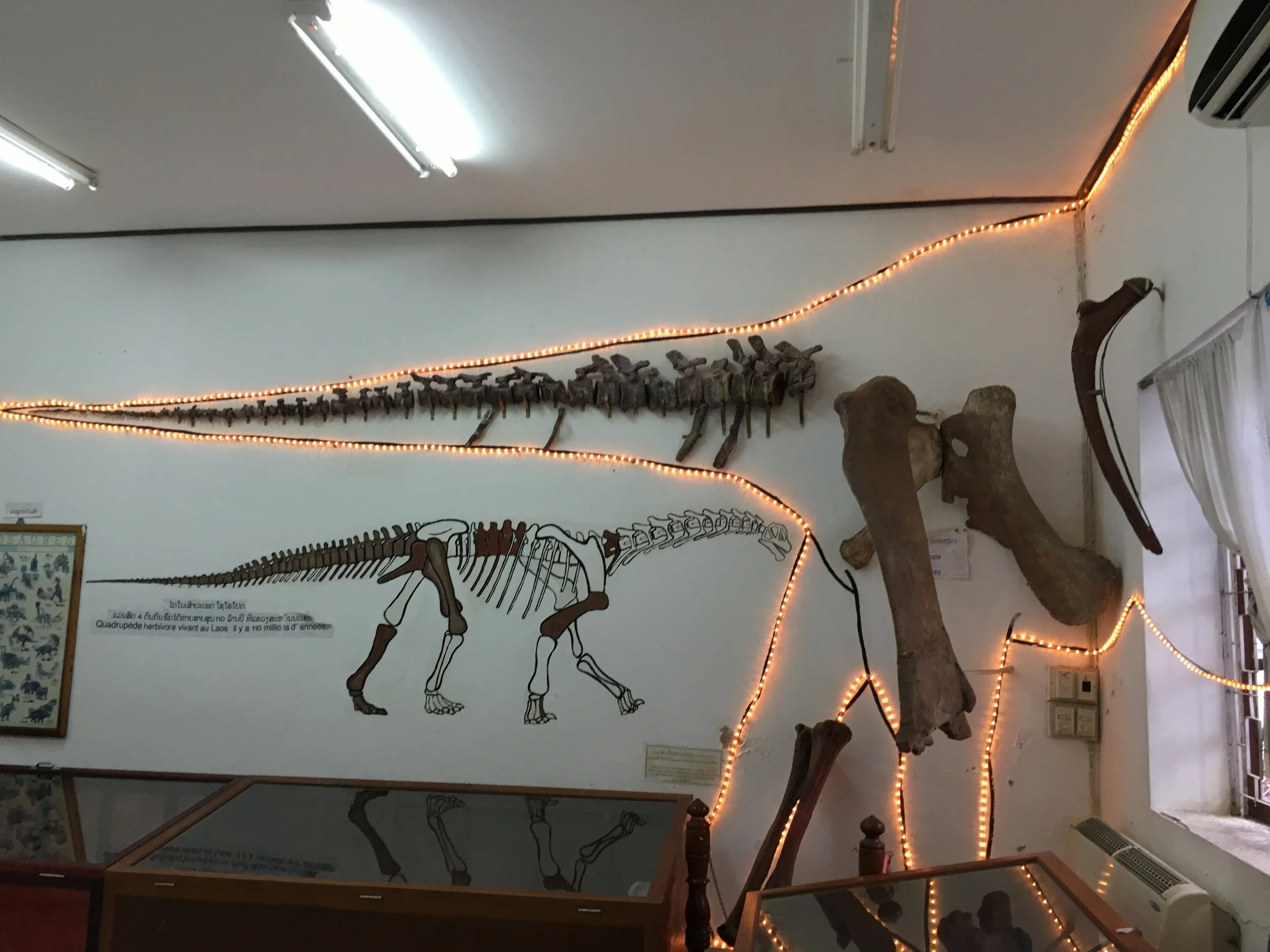 Savanakhet Dinosaur Museum | © Regina Beach