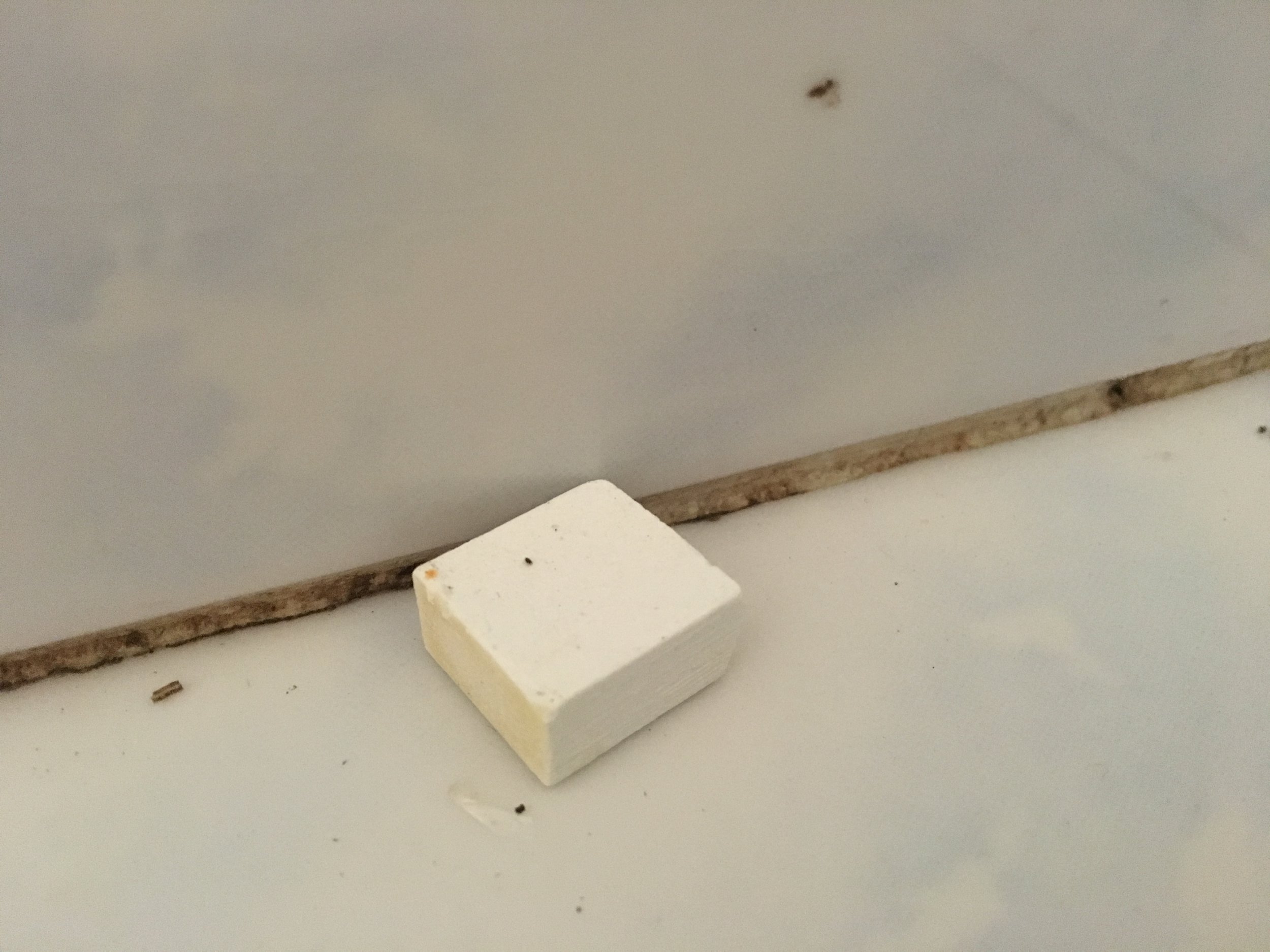 AntChalk.jpg