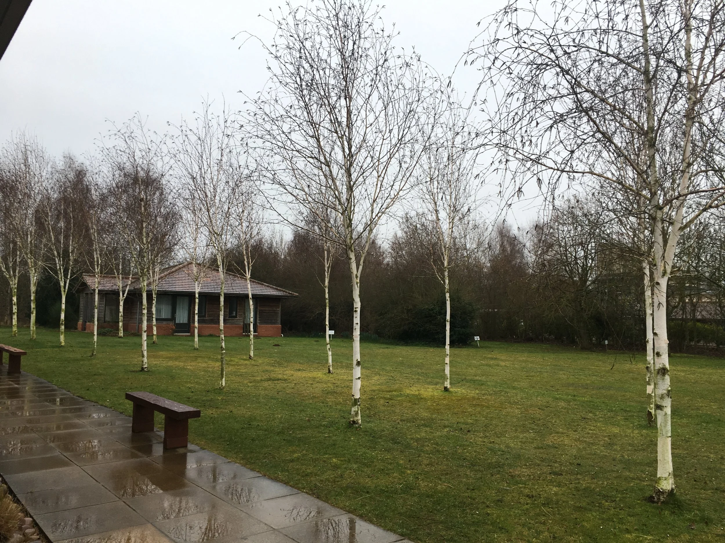 The People of Vipassana