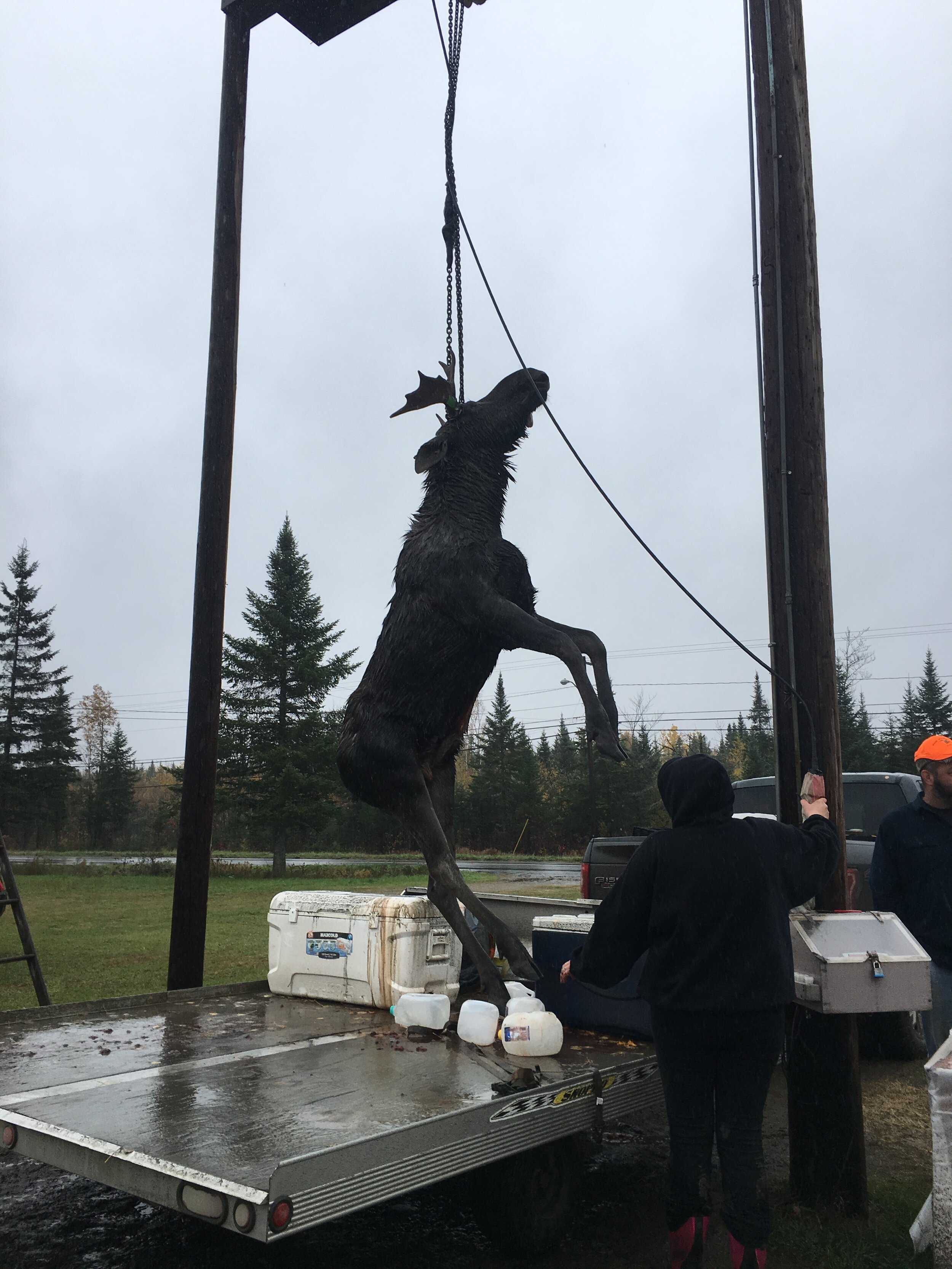 Episode 8 The Gap Year