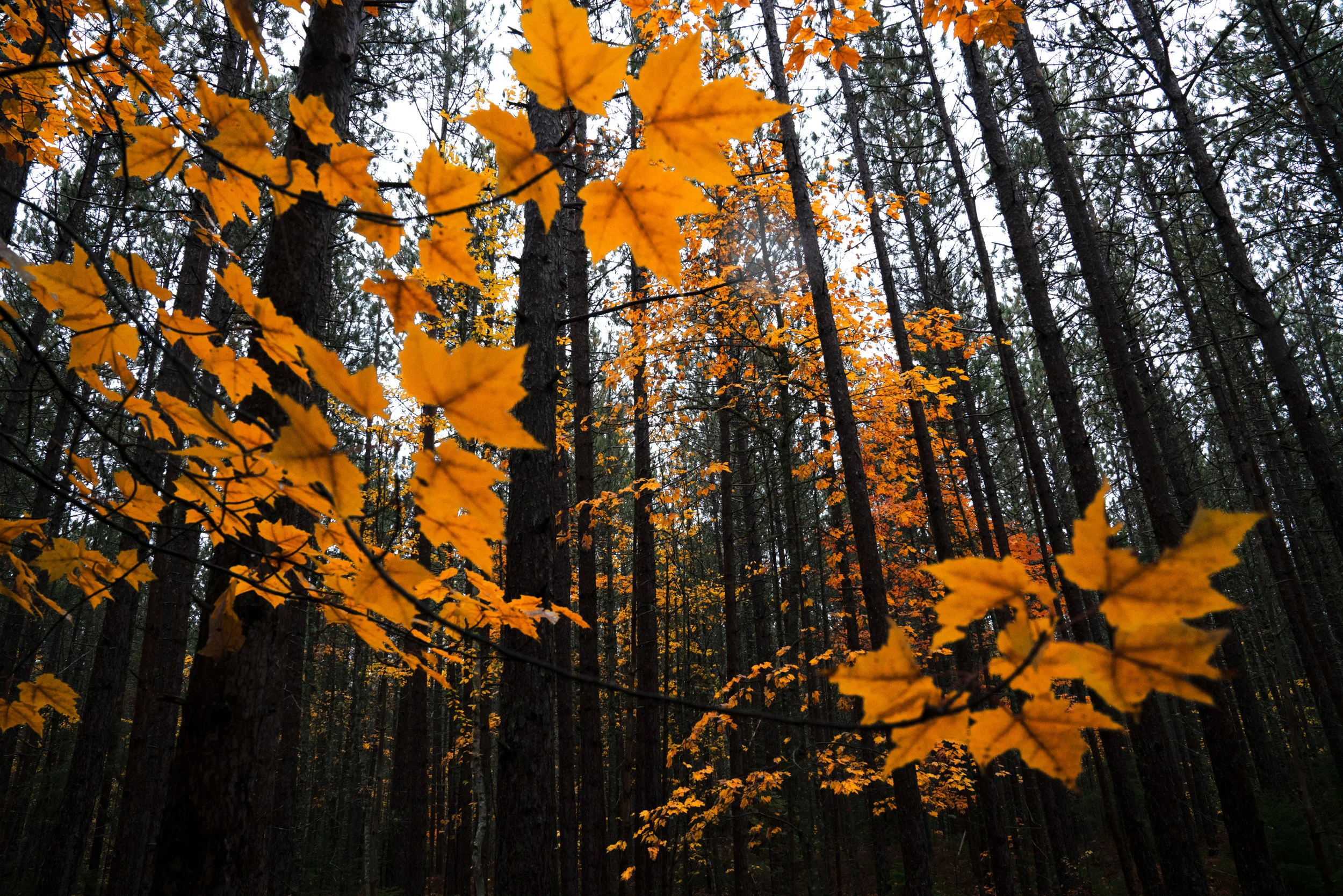 Baxter State Park
