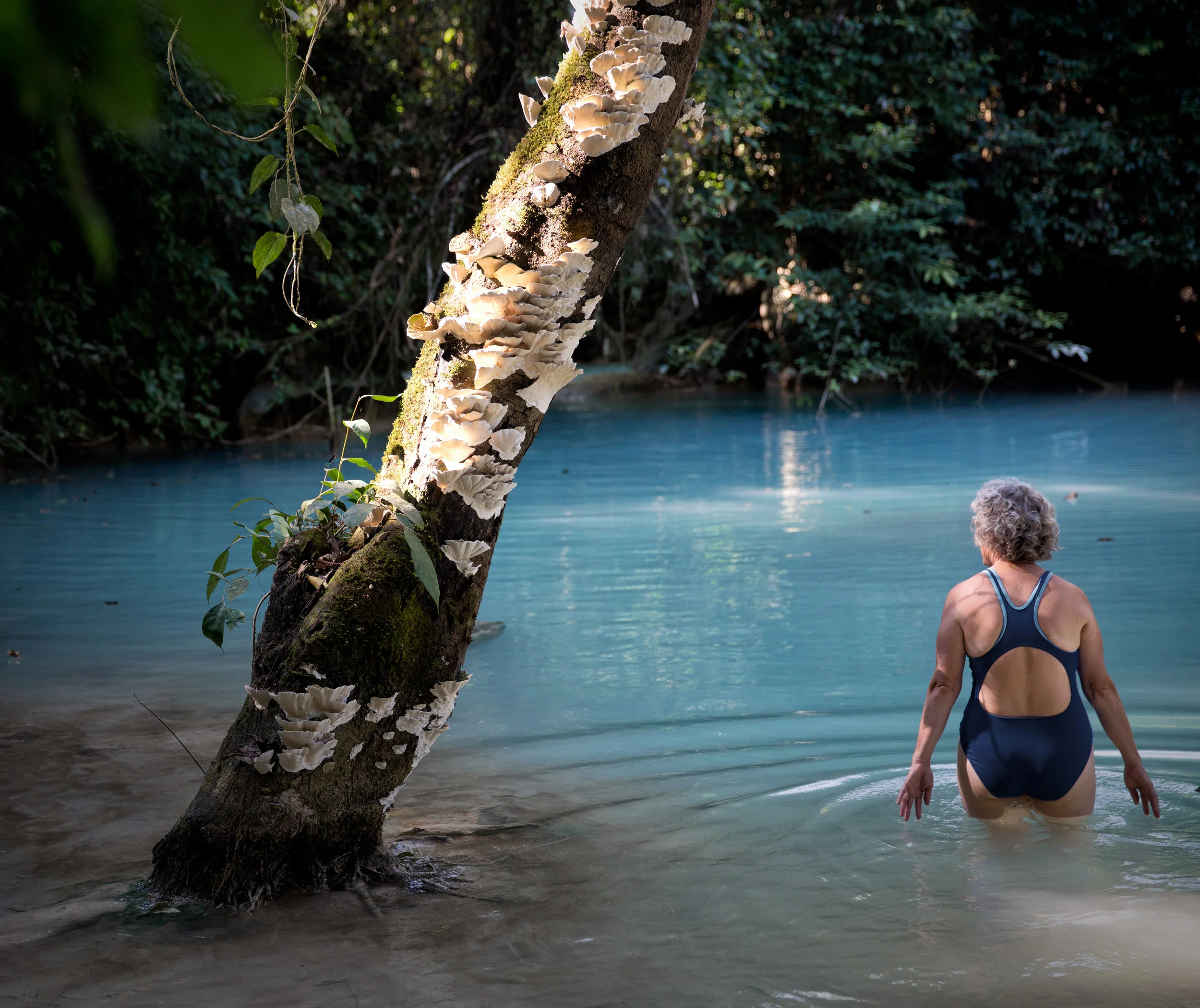 15 Must-Visit Attractions in Luang Prabang, Laos