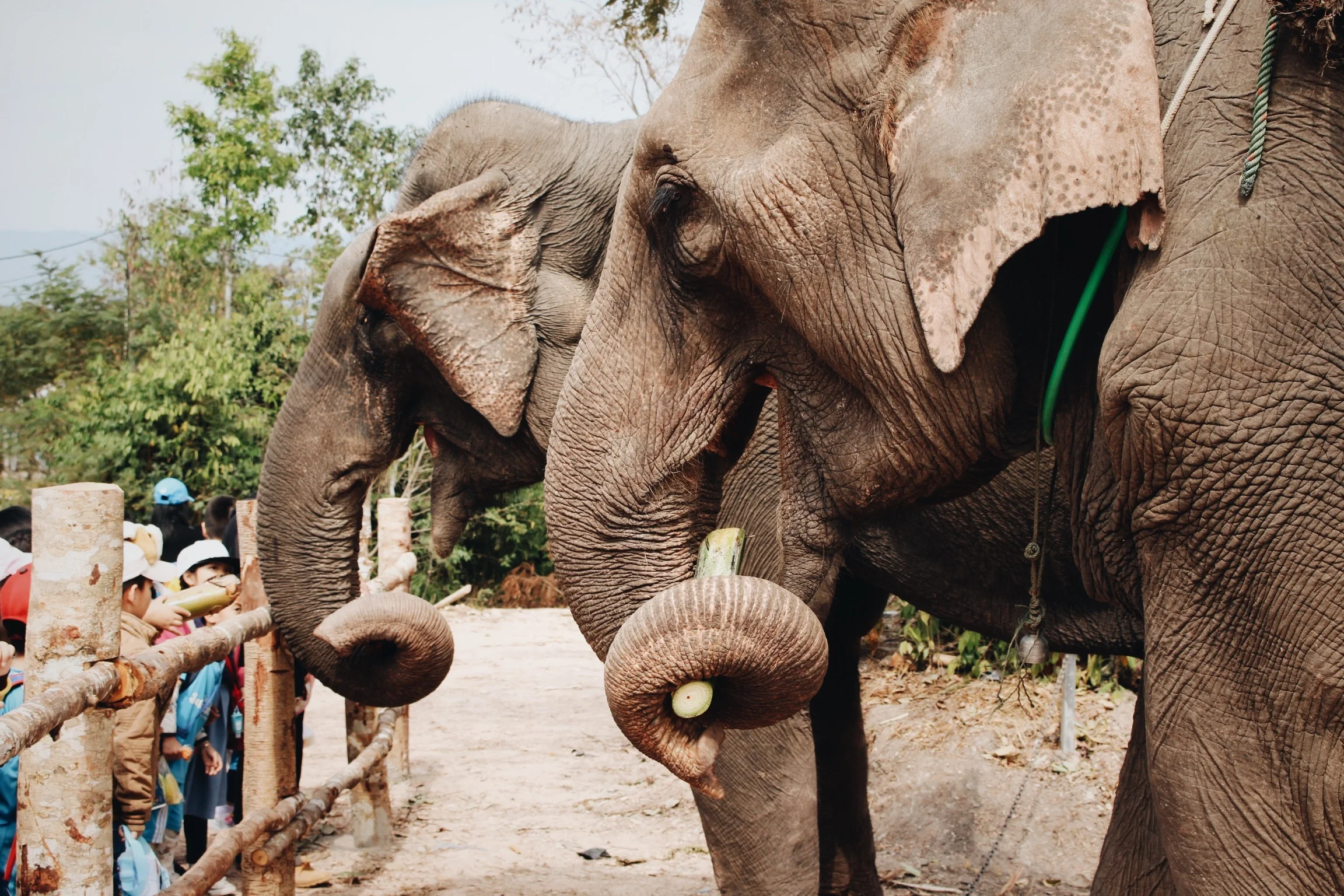 The Top Things To See And Do in Pakse, Laos