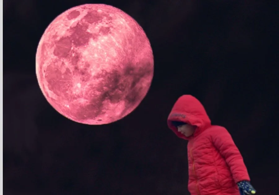 Lunar Pareidolia 