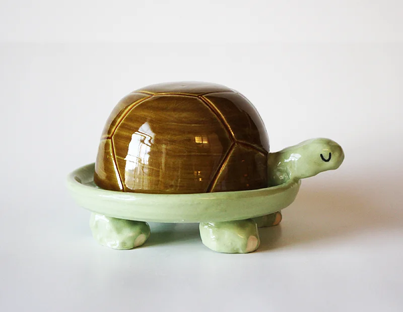 turtle1.jpg