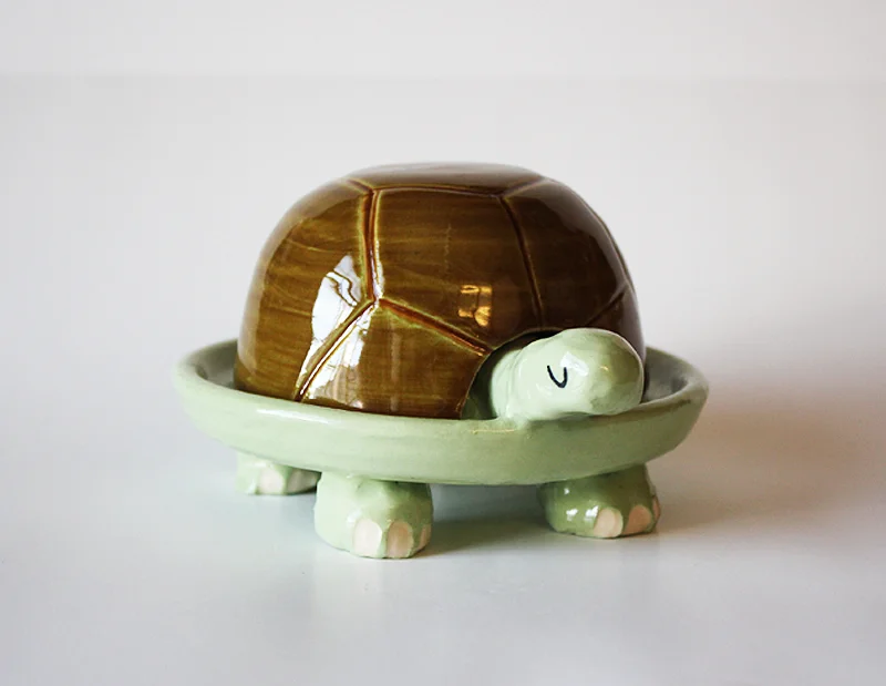 turtle2.jpg