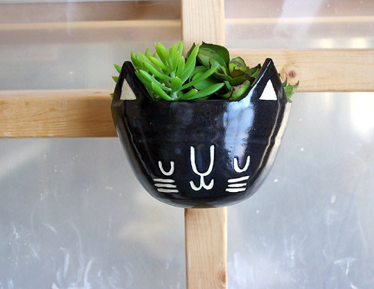 catwallhangingplanter.png
