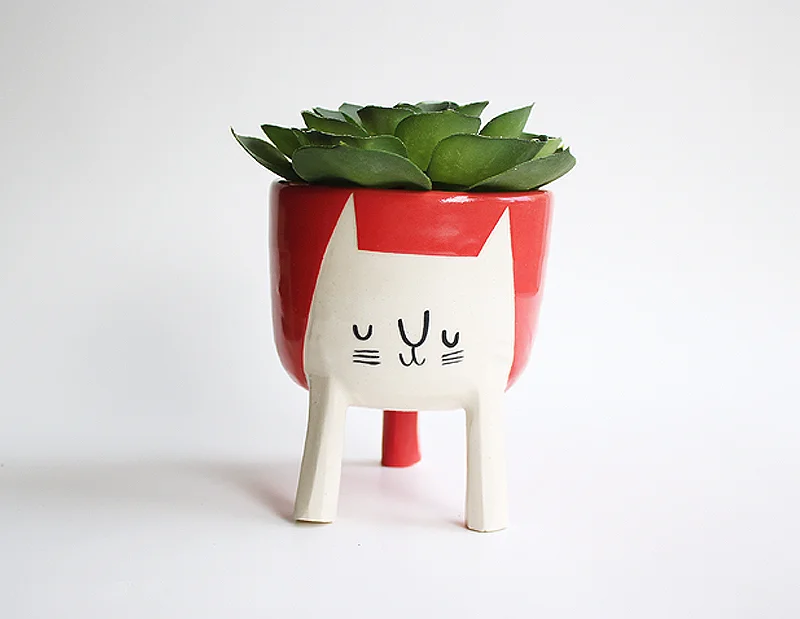 largecoralcat.jpg