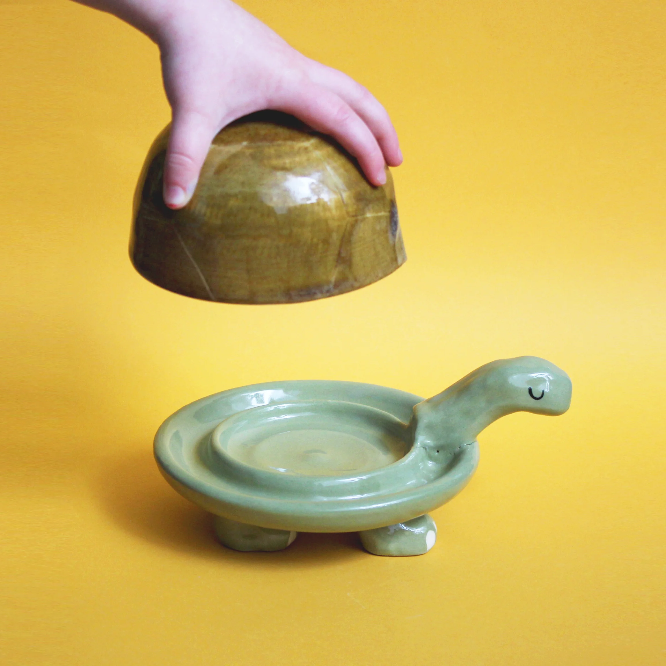 turtledish.jpg