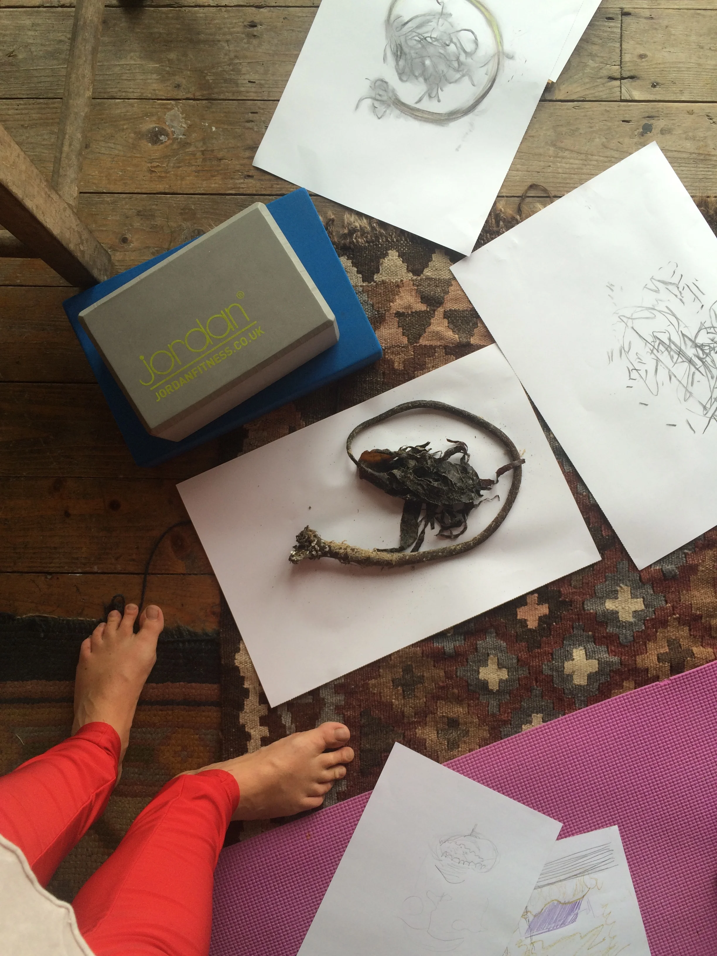 Yoga and Drawing Retreat, Bothar Bui 2017