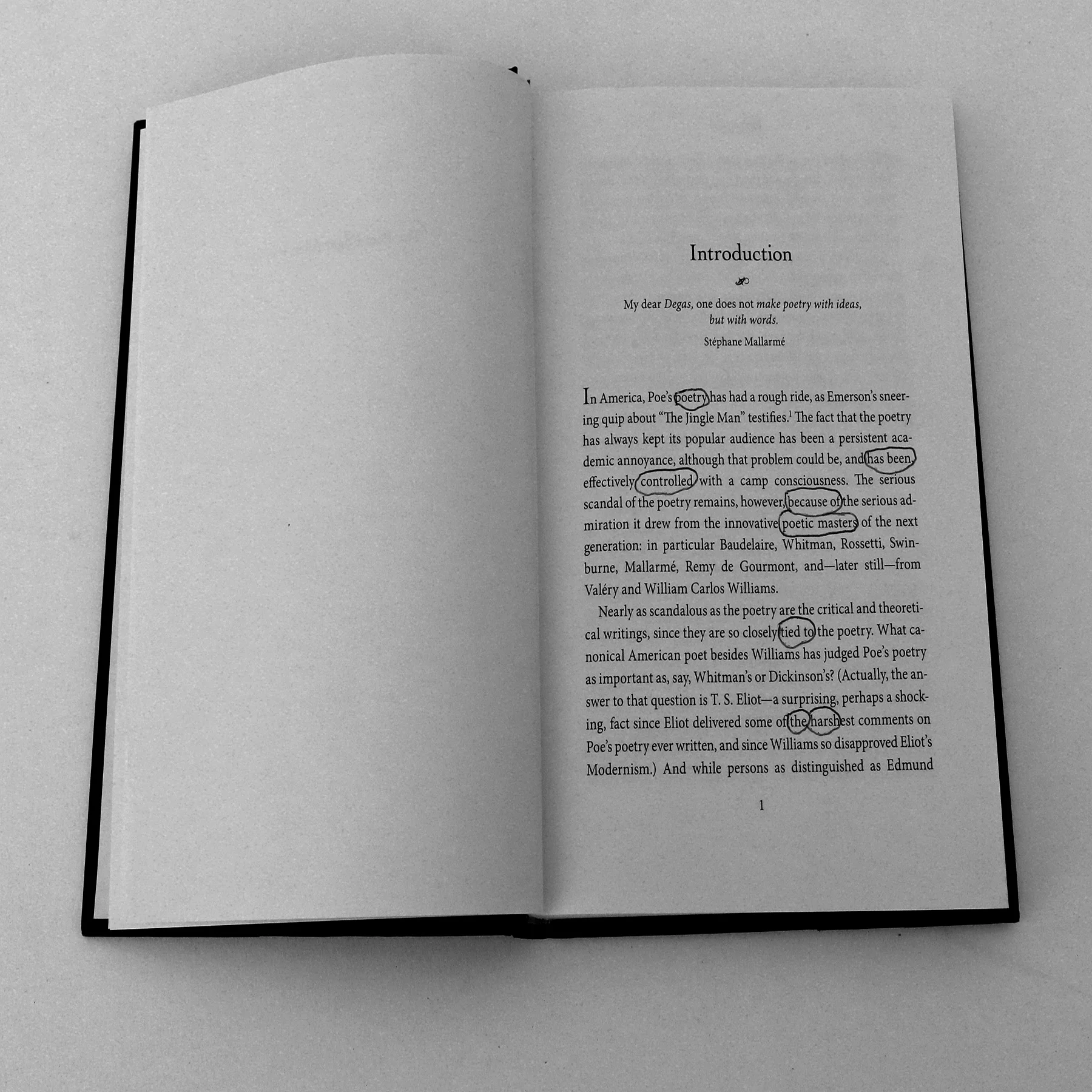  “Alien Angel: The Poet Edgar Allan Poe” by Jerome McGann