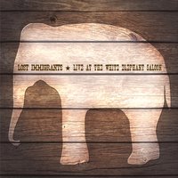 albumcover_lostimmigrants13.jpg