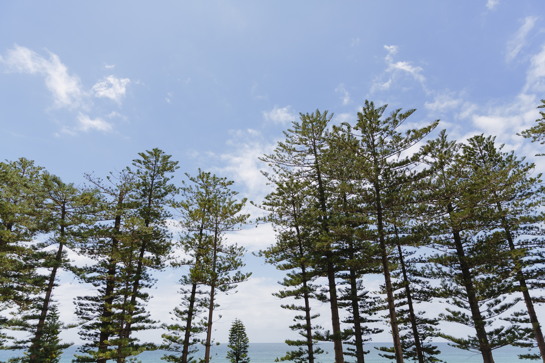CALOWE-001.jpg
