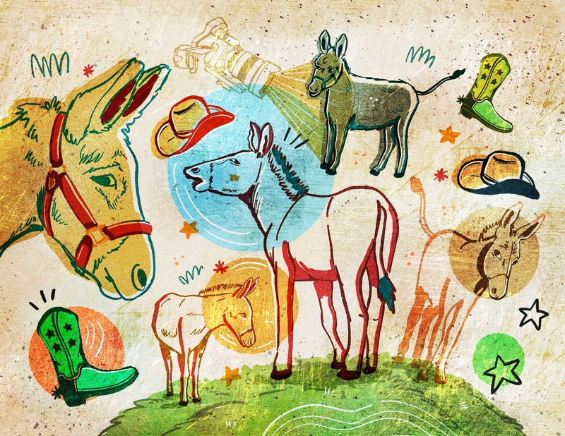 'WW Visits the Oregon Donkey Sanctuary' Willamette Week 2023