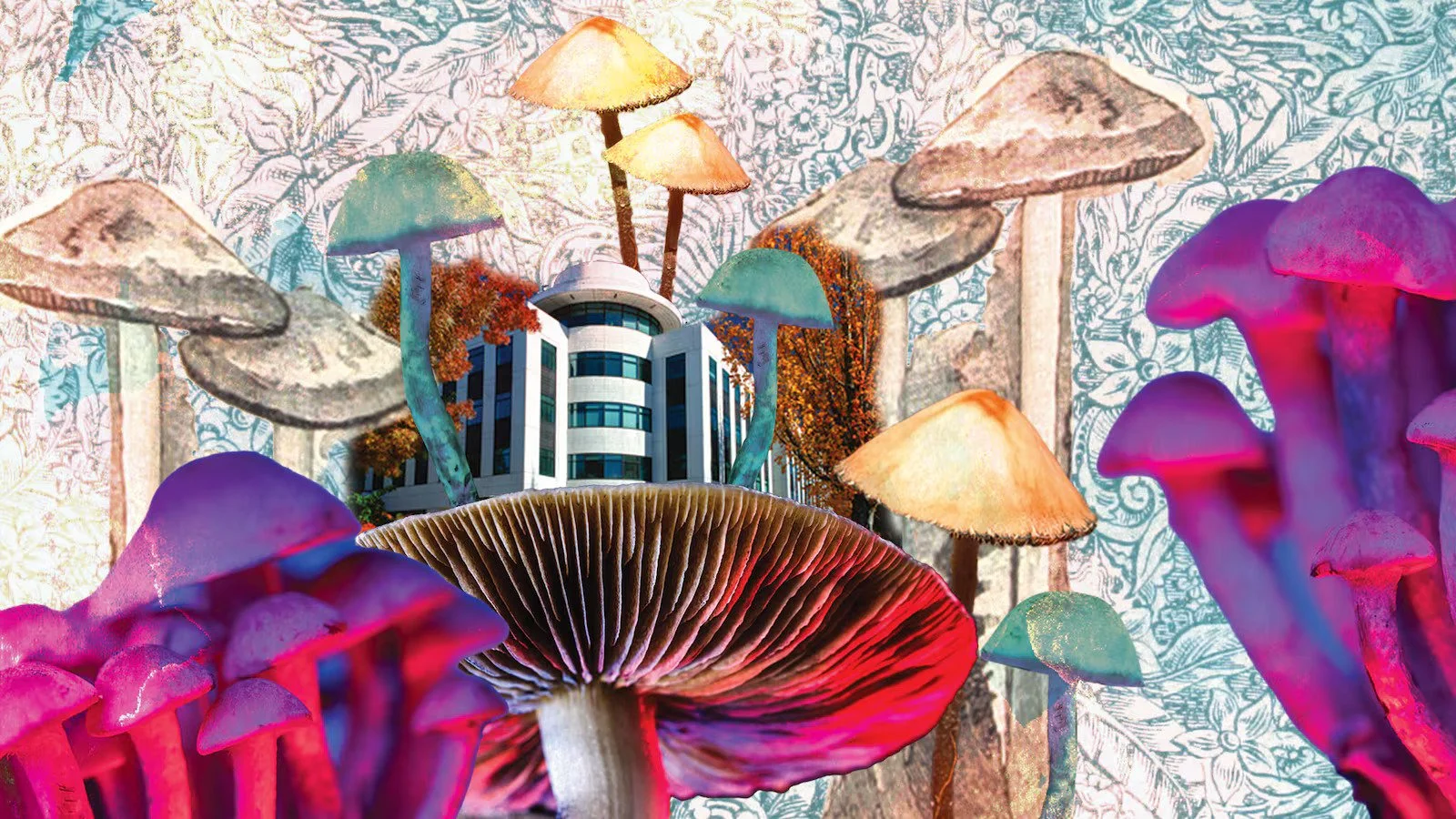 'Taxpayers May Soon Be Filling the Funding Gaps in Oregon’s Psilocybin System' Willamette Week 2023