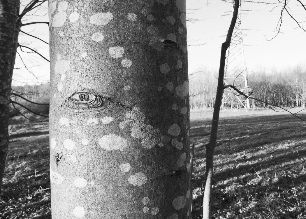 G15-25 Peter Divers.jpeg