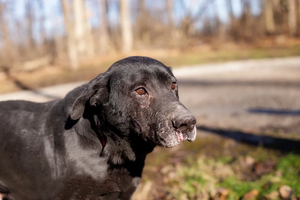 Max-1.jpg
