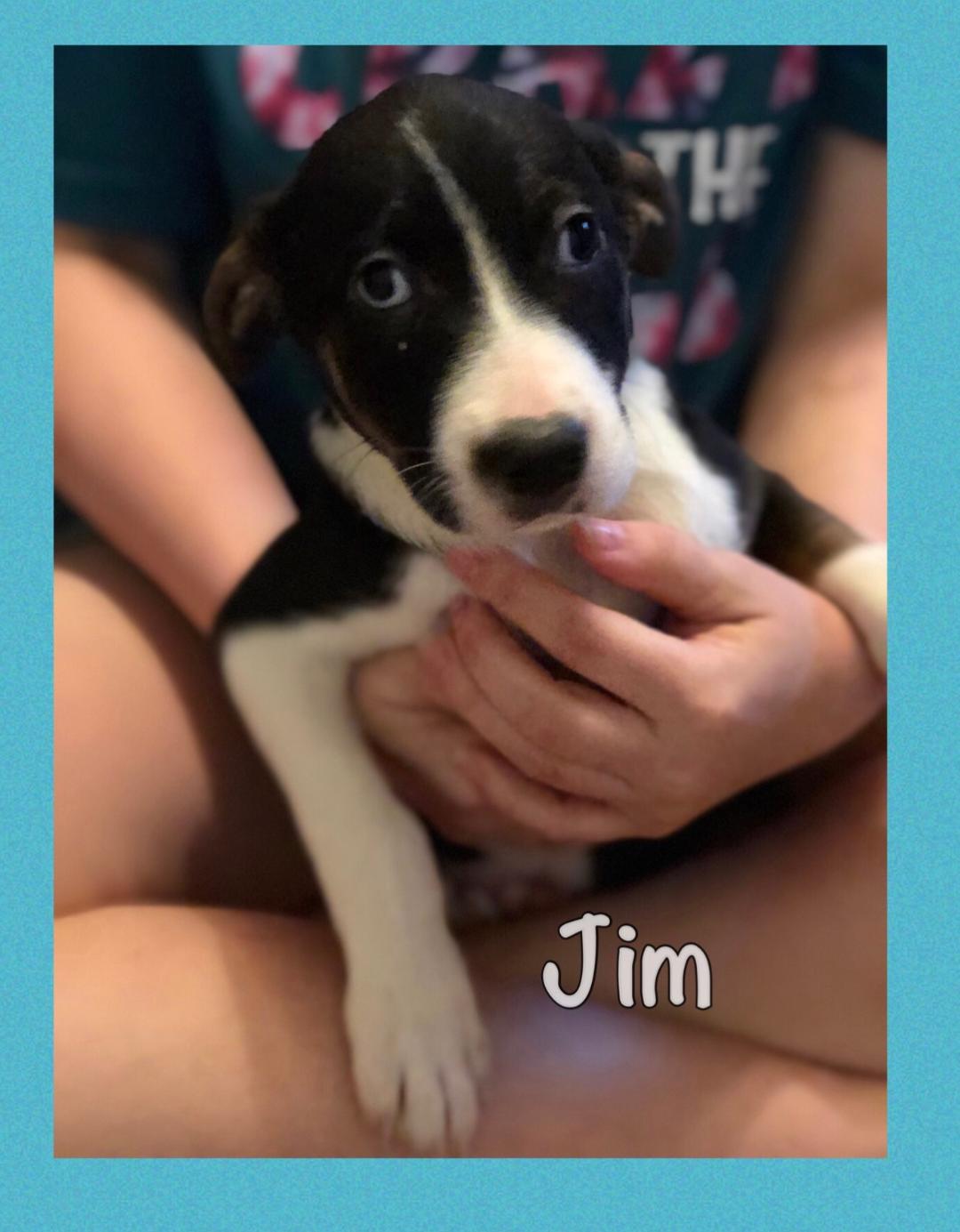 jim.jpeg