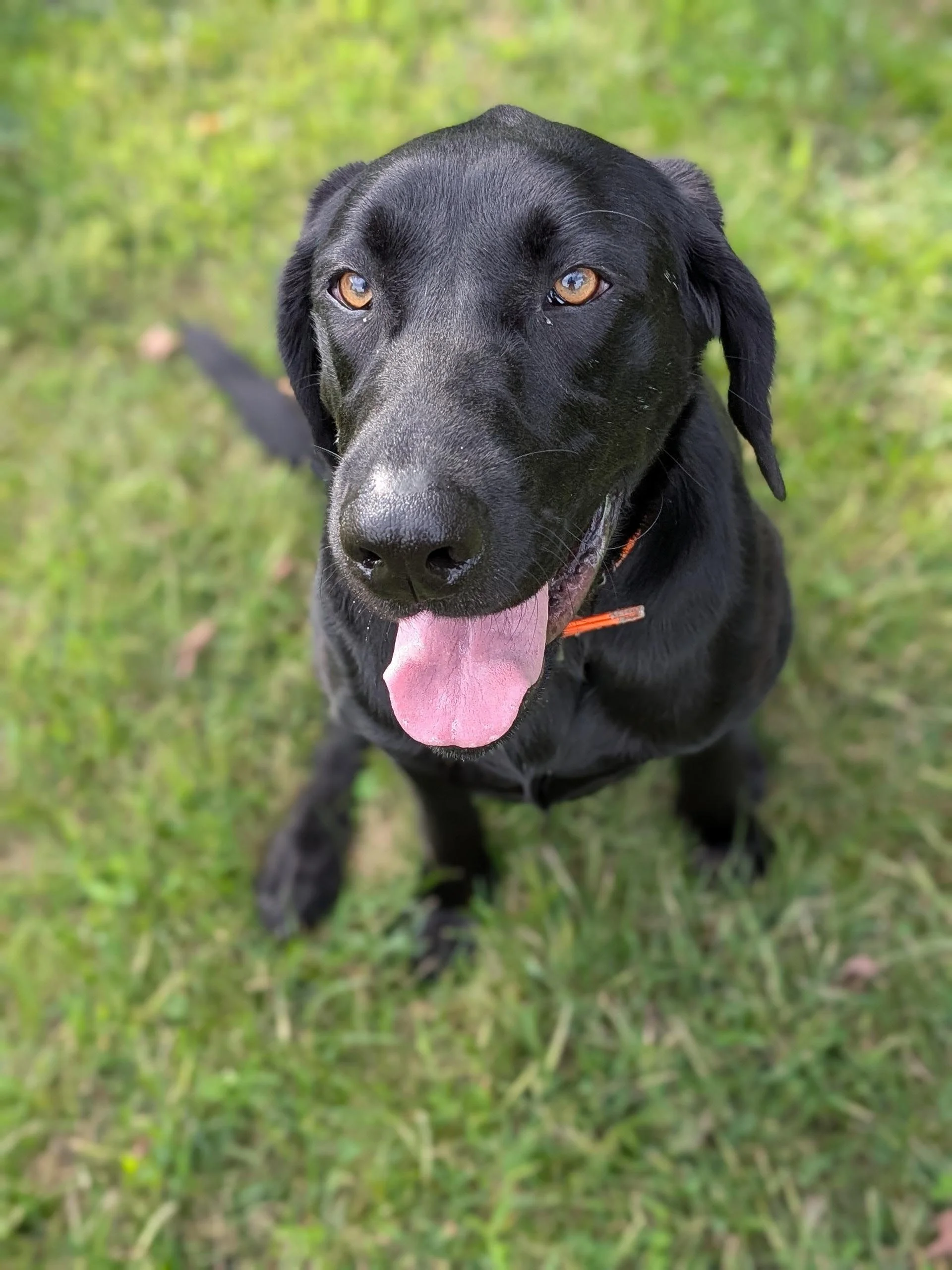 Macy6.jpg