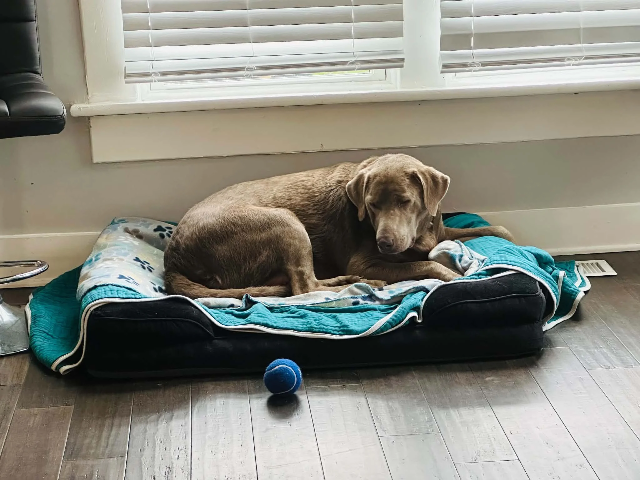 sLaaCwHB.jpg