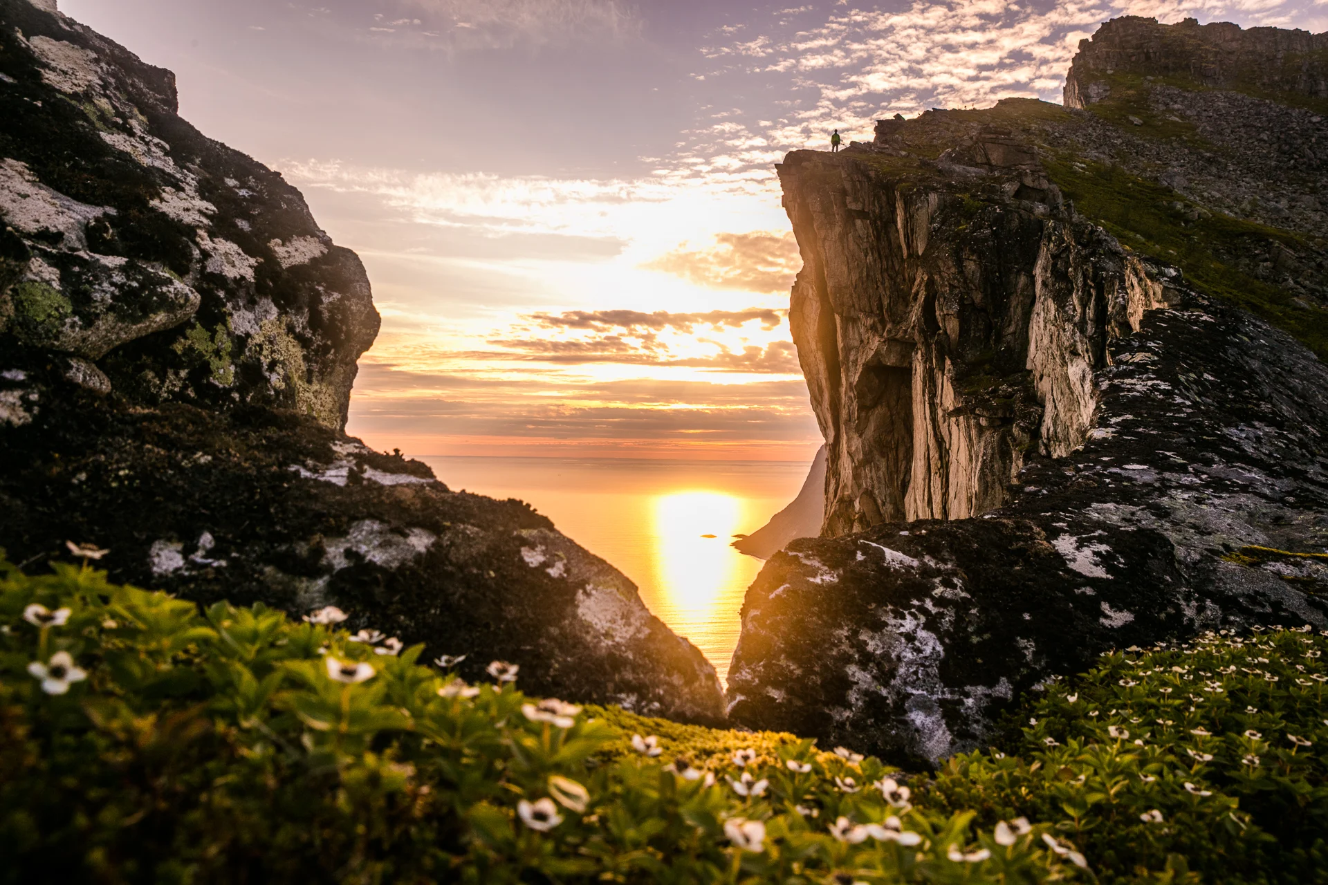 Senja