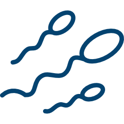sperm.png