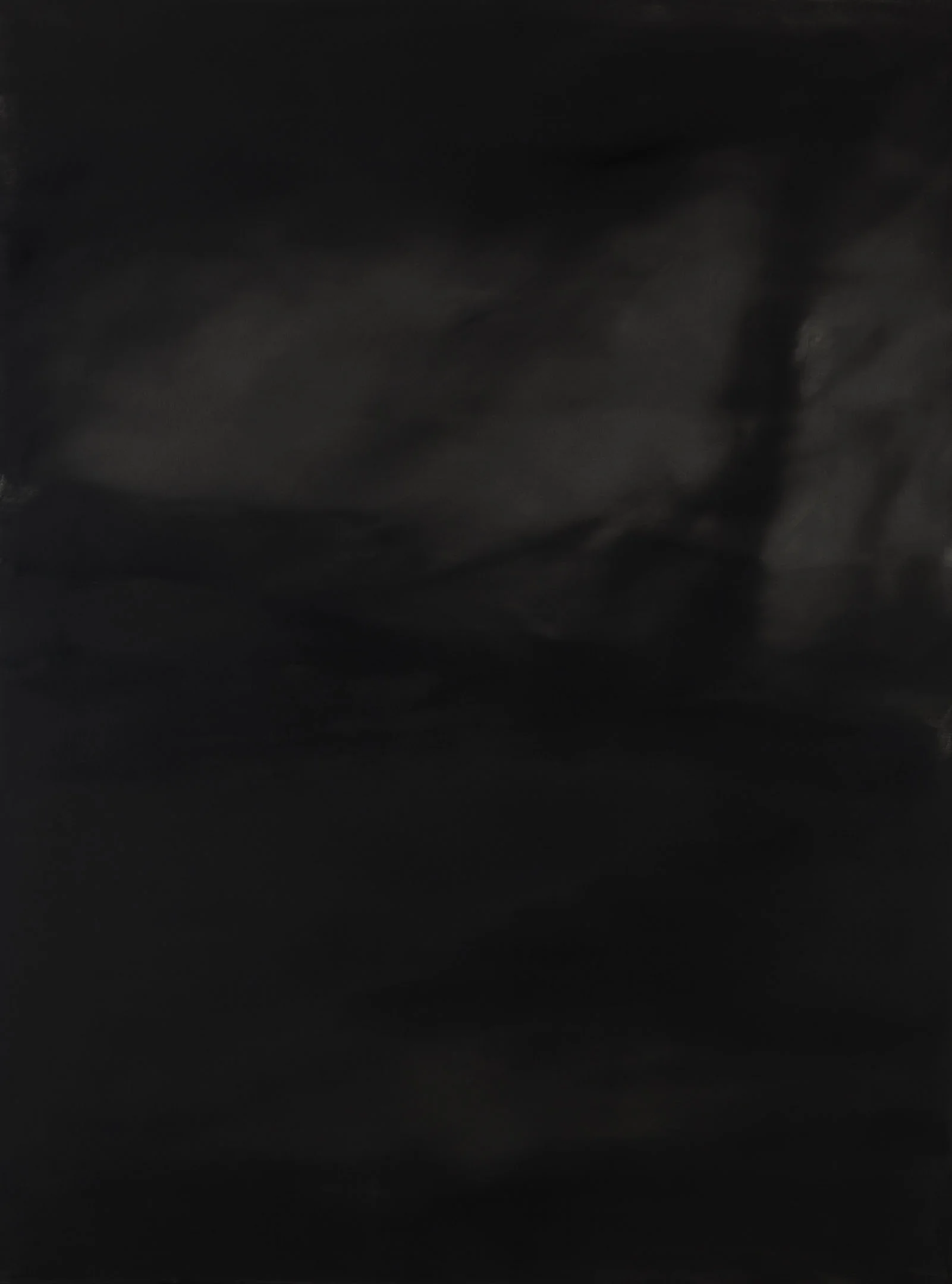 Sans Titre 54, oil on canvas, 51 x 38 in.