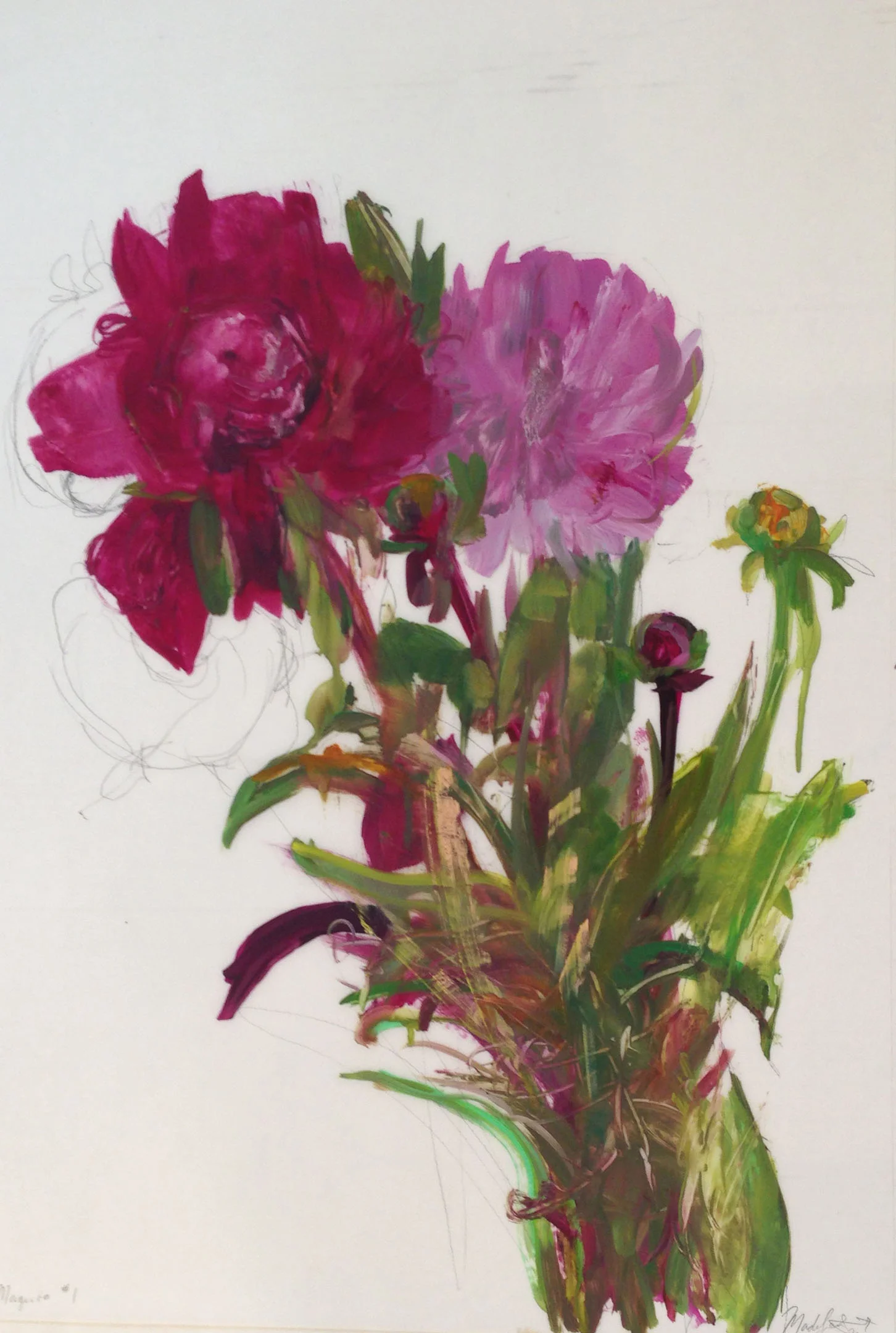 Magenta #1, oil on mylar, 36 x 24 in.
