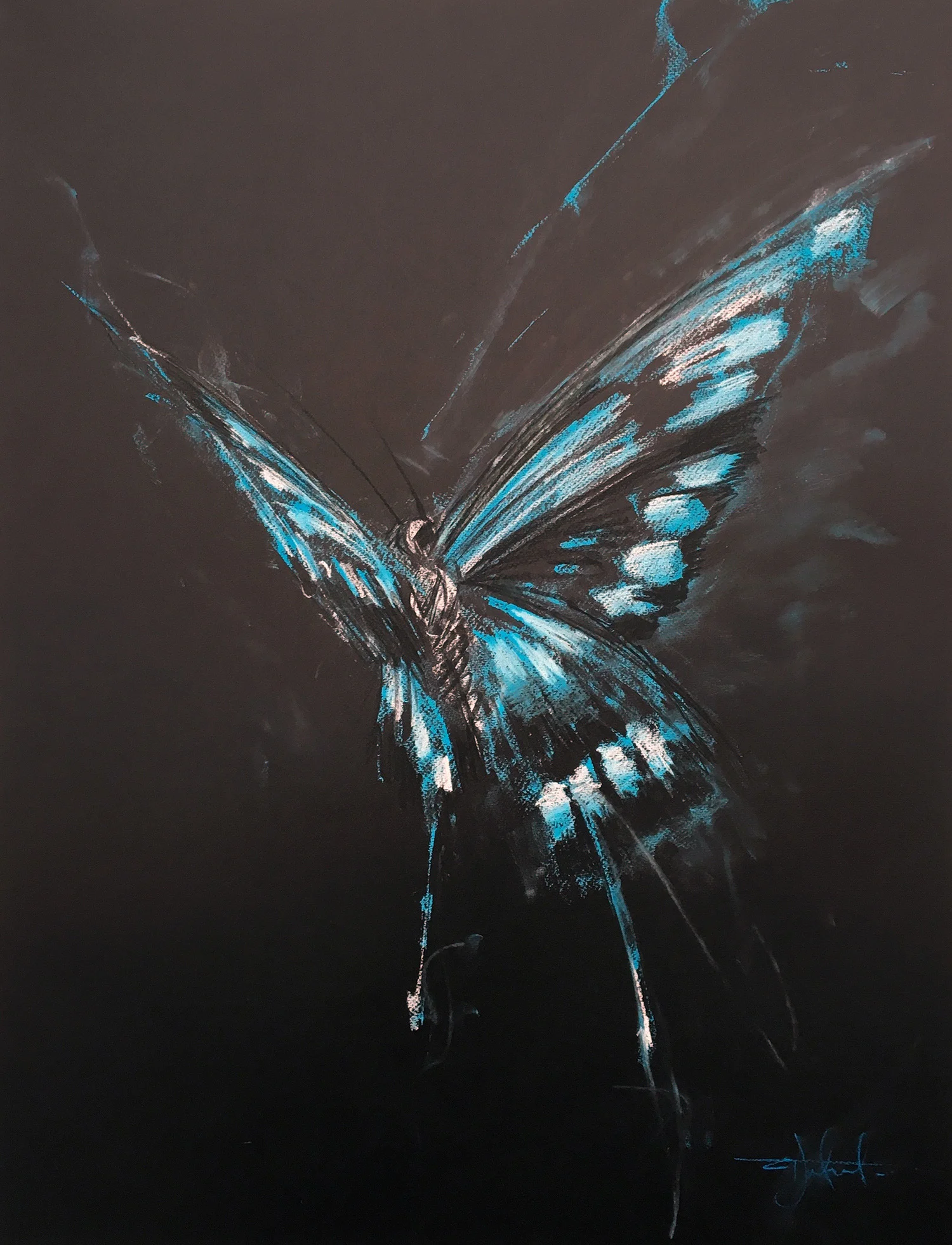 Elpis XII, conte on canson mi-teintes paper, 25 x 19 in.