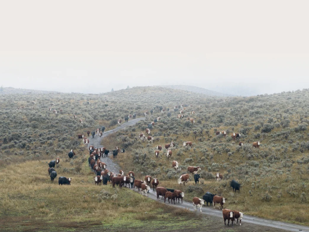 Procession Under Watchful Eye, ed. 1/8, archival inkjet, 24 x 32 in.