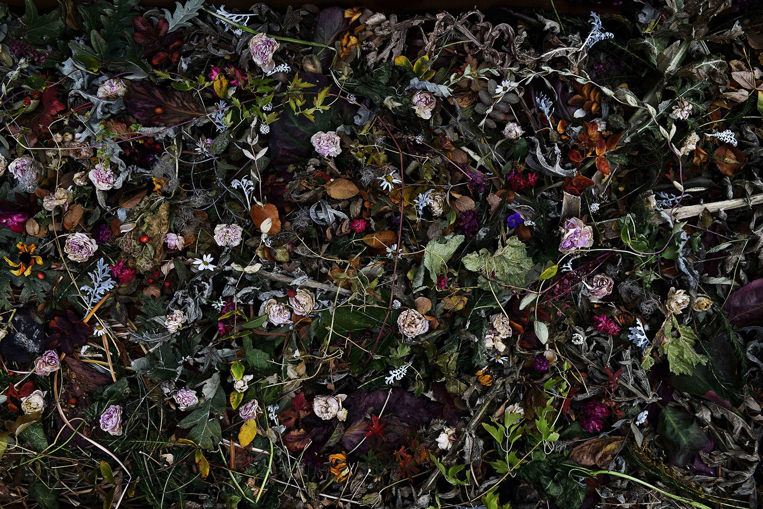 When I Think of Home #9 (Lougheed House Portrait), archival inkjet on metallic paper, 24 x 36 in.