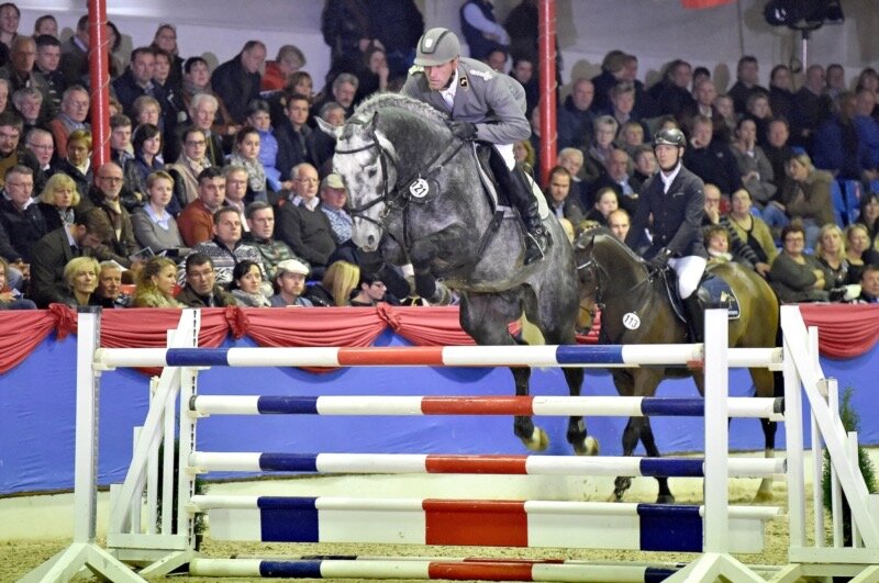 clinton´s-heart-oldenburg-international--os--stallion-gray-sire-leisurehorses-showjumpers-eventinghorses-celle-997117_2.JPG