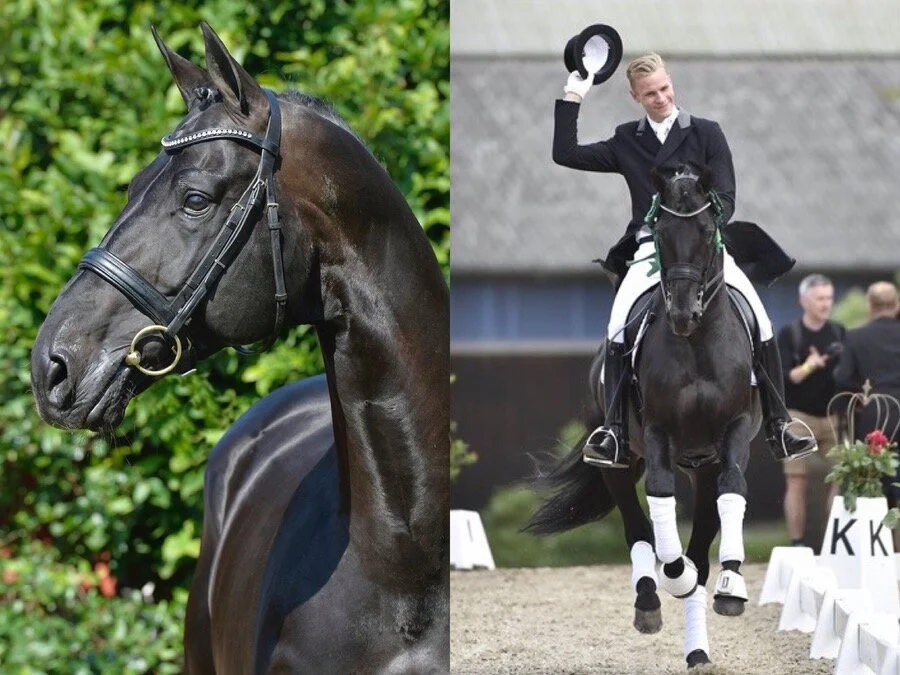 Goodbye to a great Champion Hotline 2003-2021 