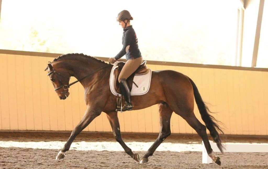 Sir James and Fhitzgerald sold