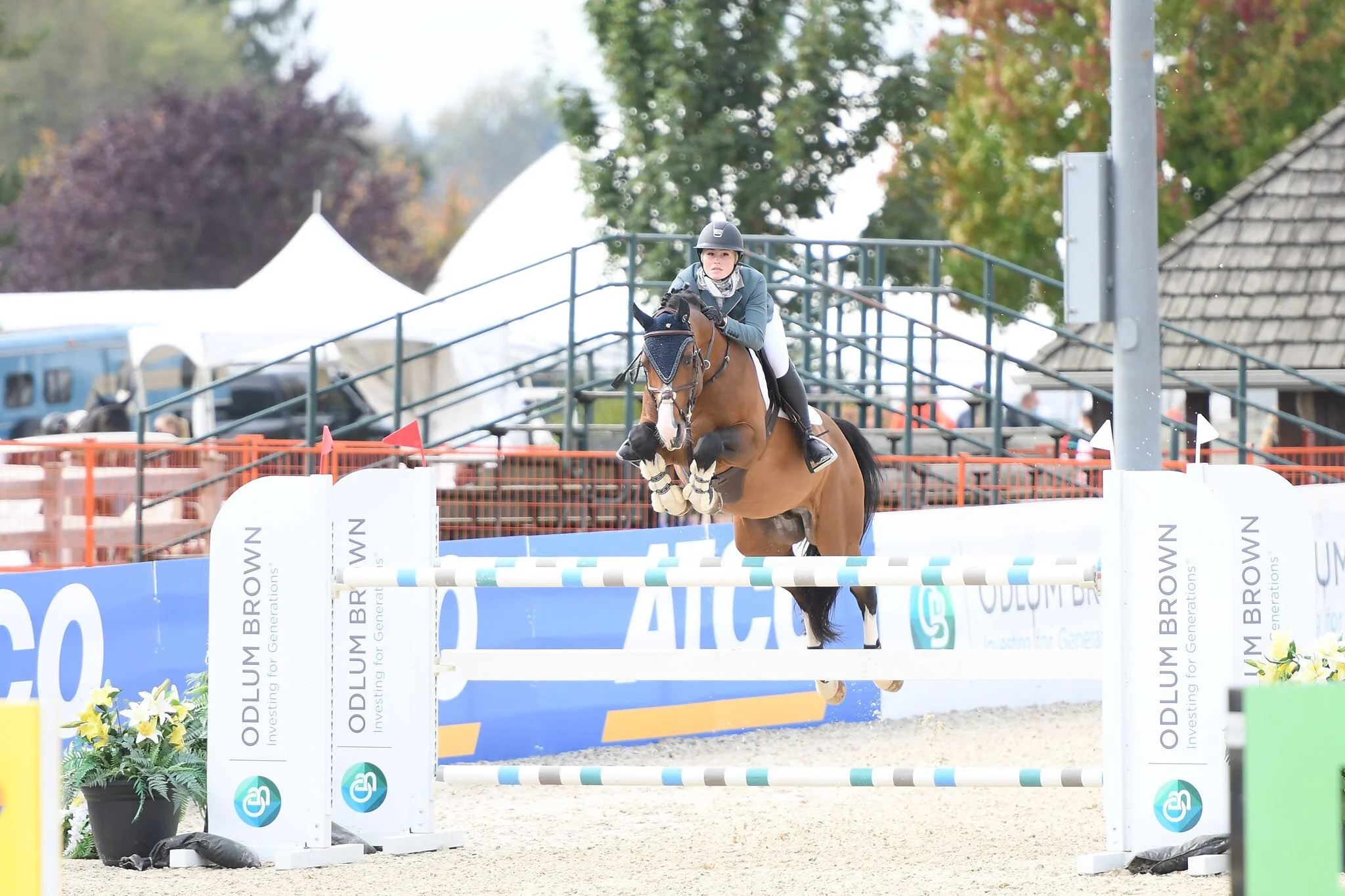 Our February Breeding Specials...last chance to get a super deal on a 2021 breeding