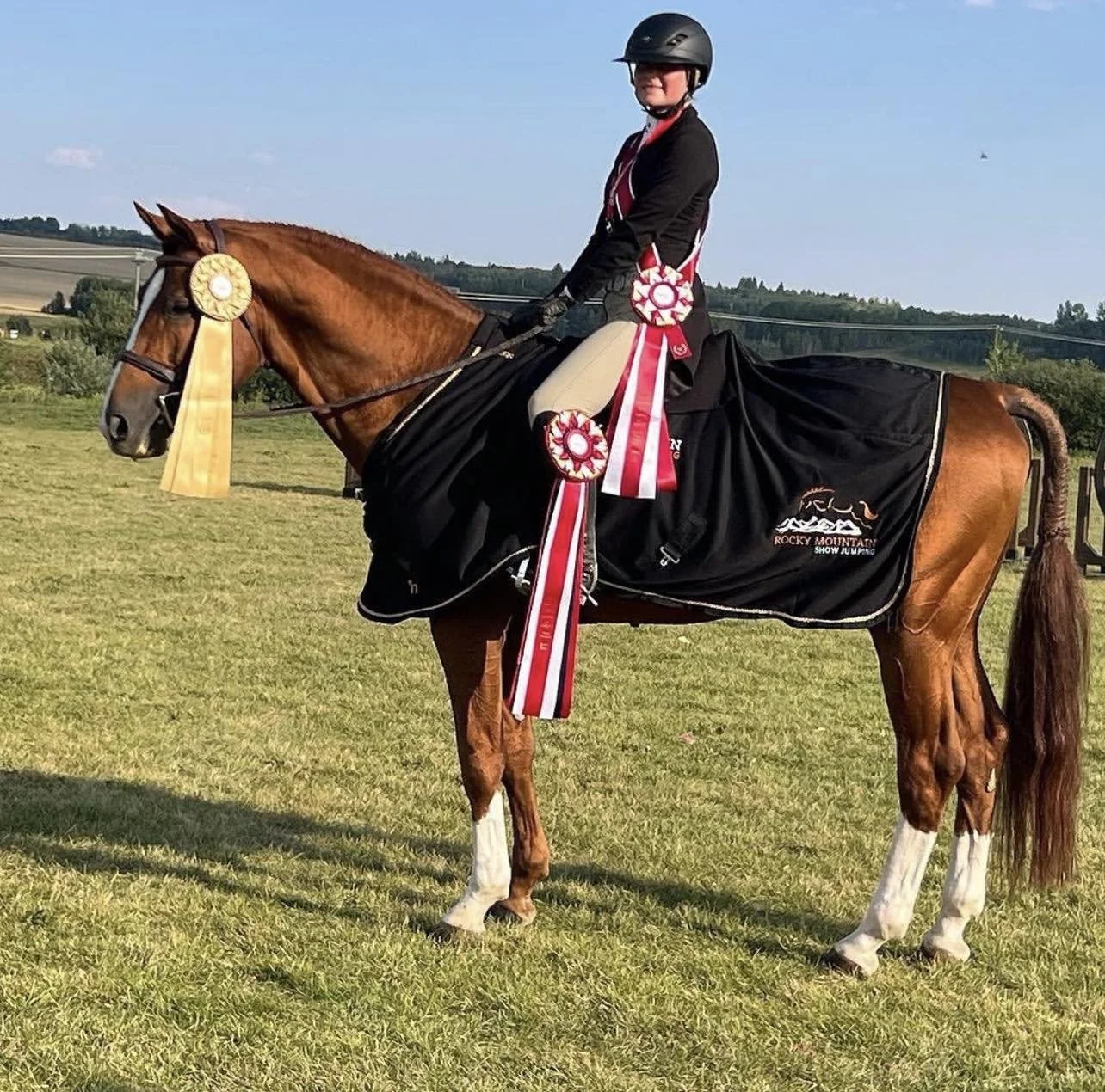 2024 Stud Fees and November early bird discounts 