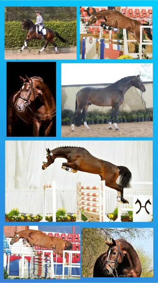 Flexible Breeding Contracts....