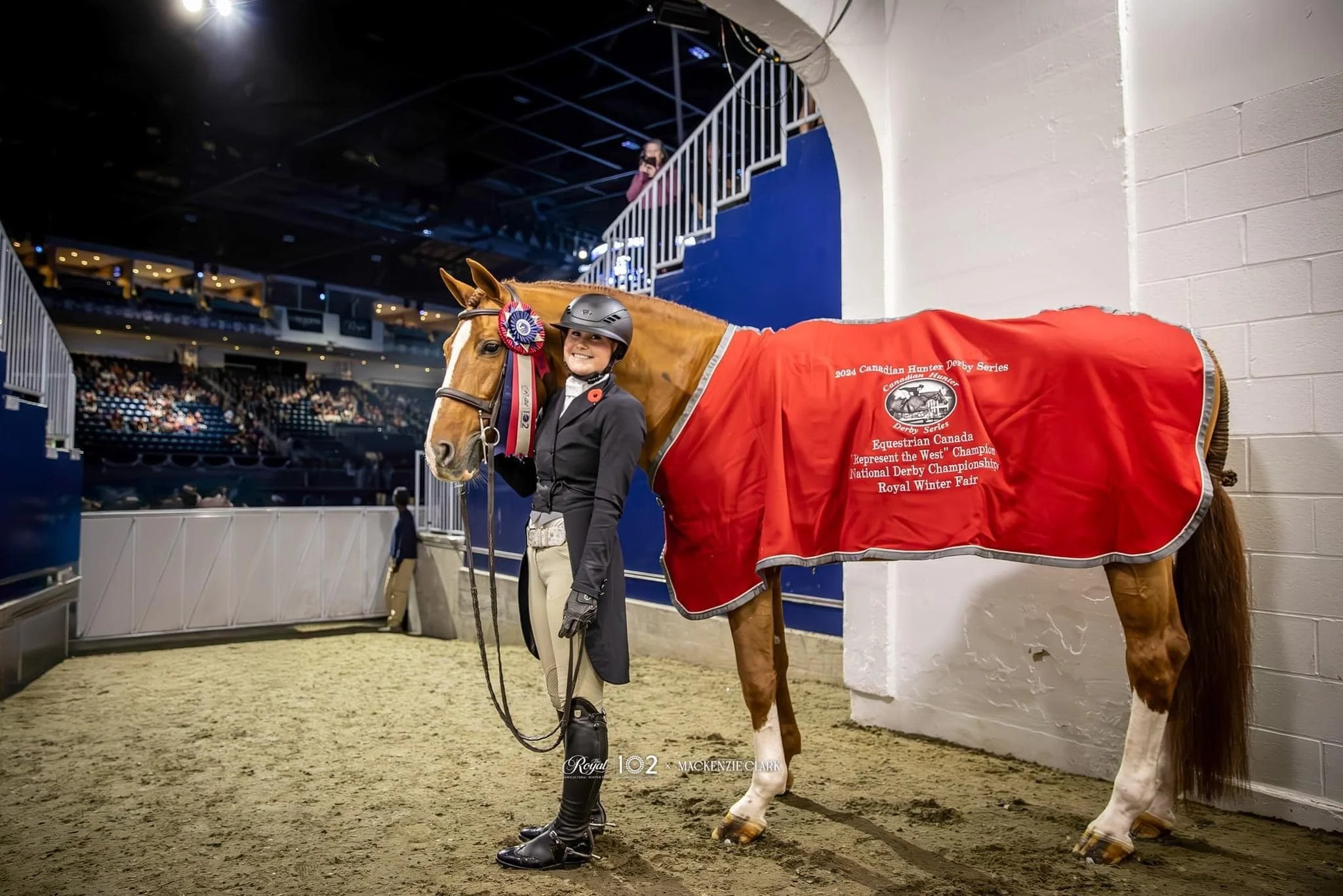 2025 Stud Fees and November Early Booking Specials