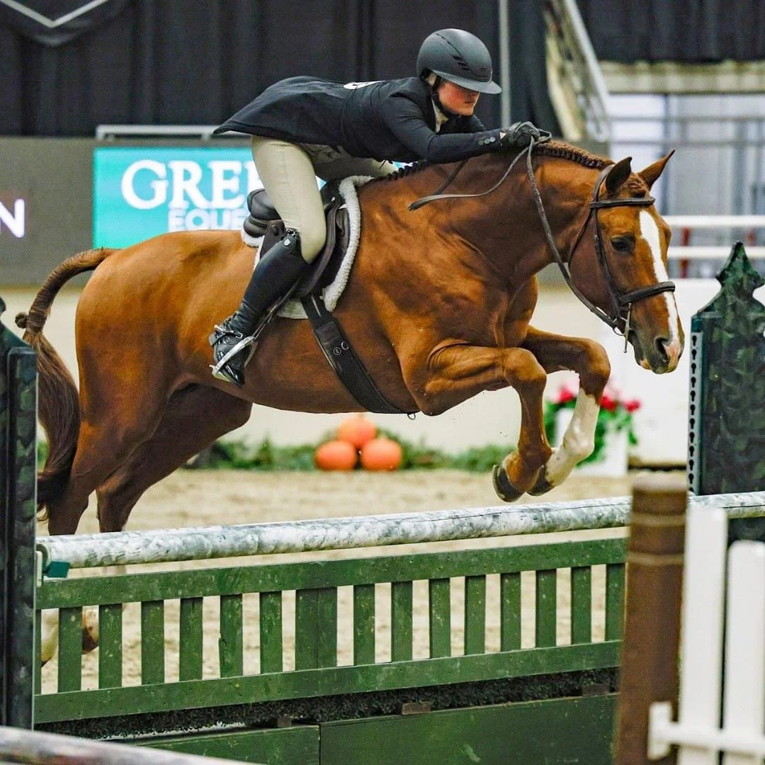 Light My Fire and Lestat OLD have a very successful show at Royal West 2024