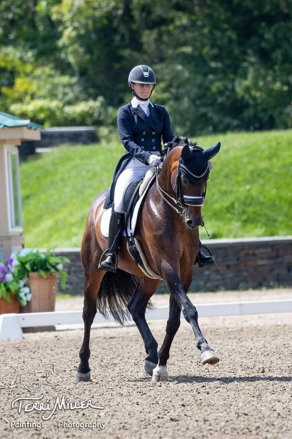 Schroeder joins stallion Line Up at Dreamscape Farm