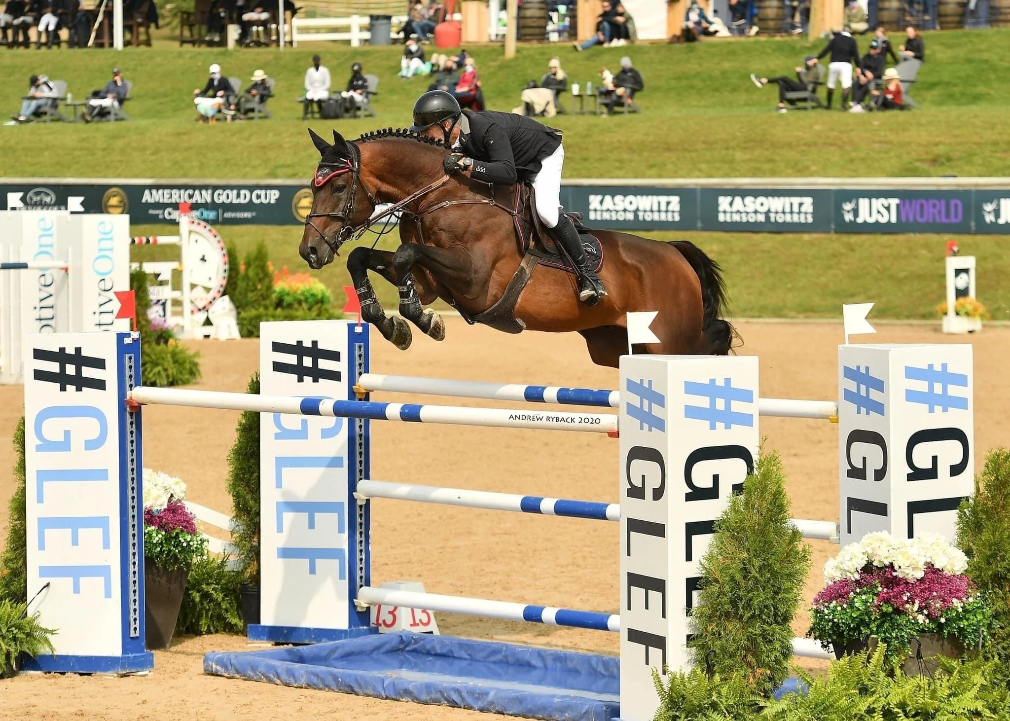 Breeding Option #2 Special for remainder of 2025 Breeding Season 