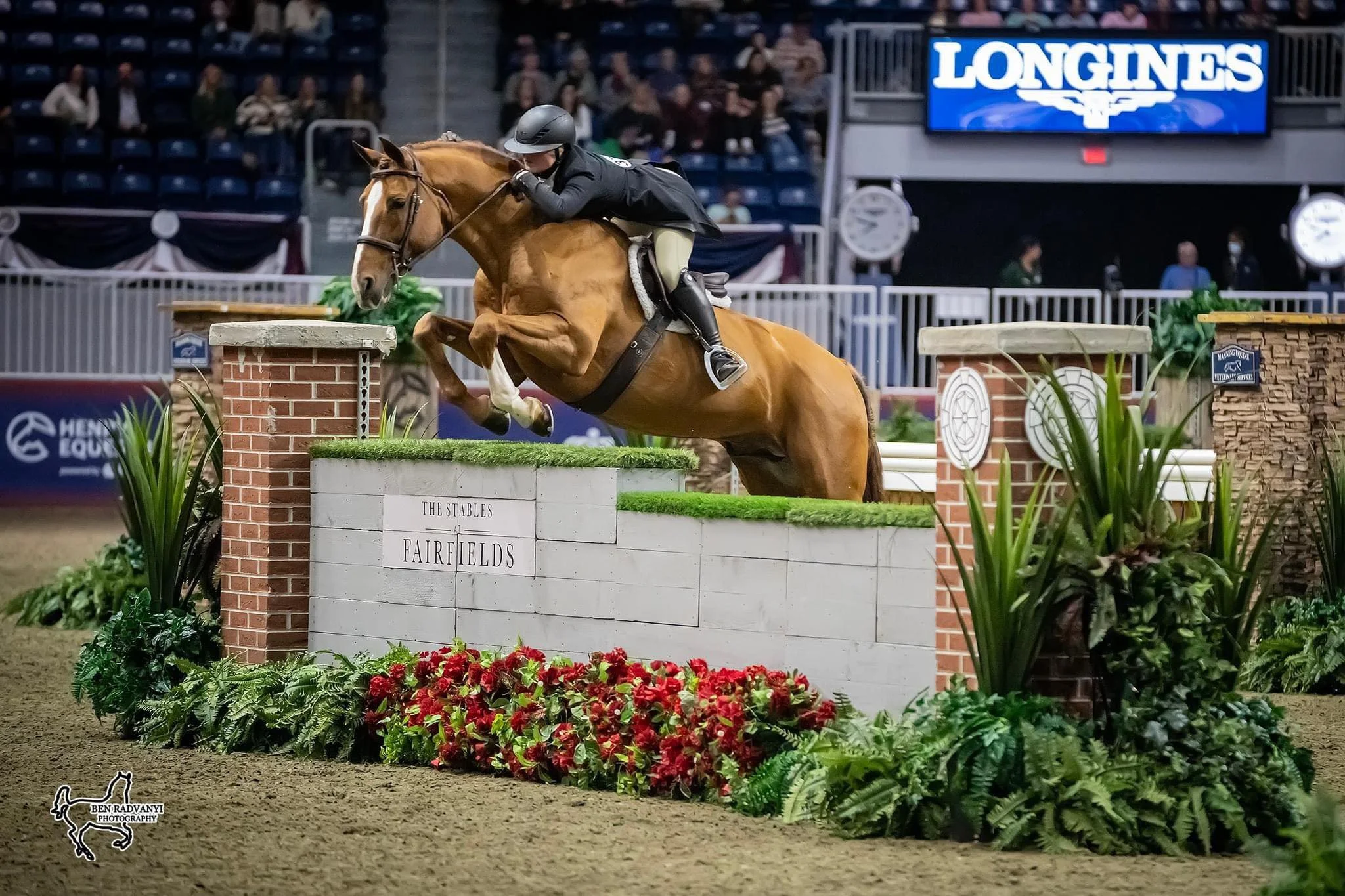 Light My Fire and Ashley Arnoldt Win Big at the Royal Winter Fair!! Canadian Champions