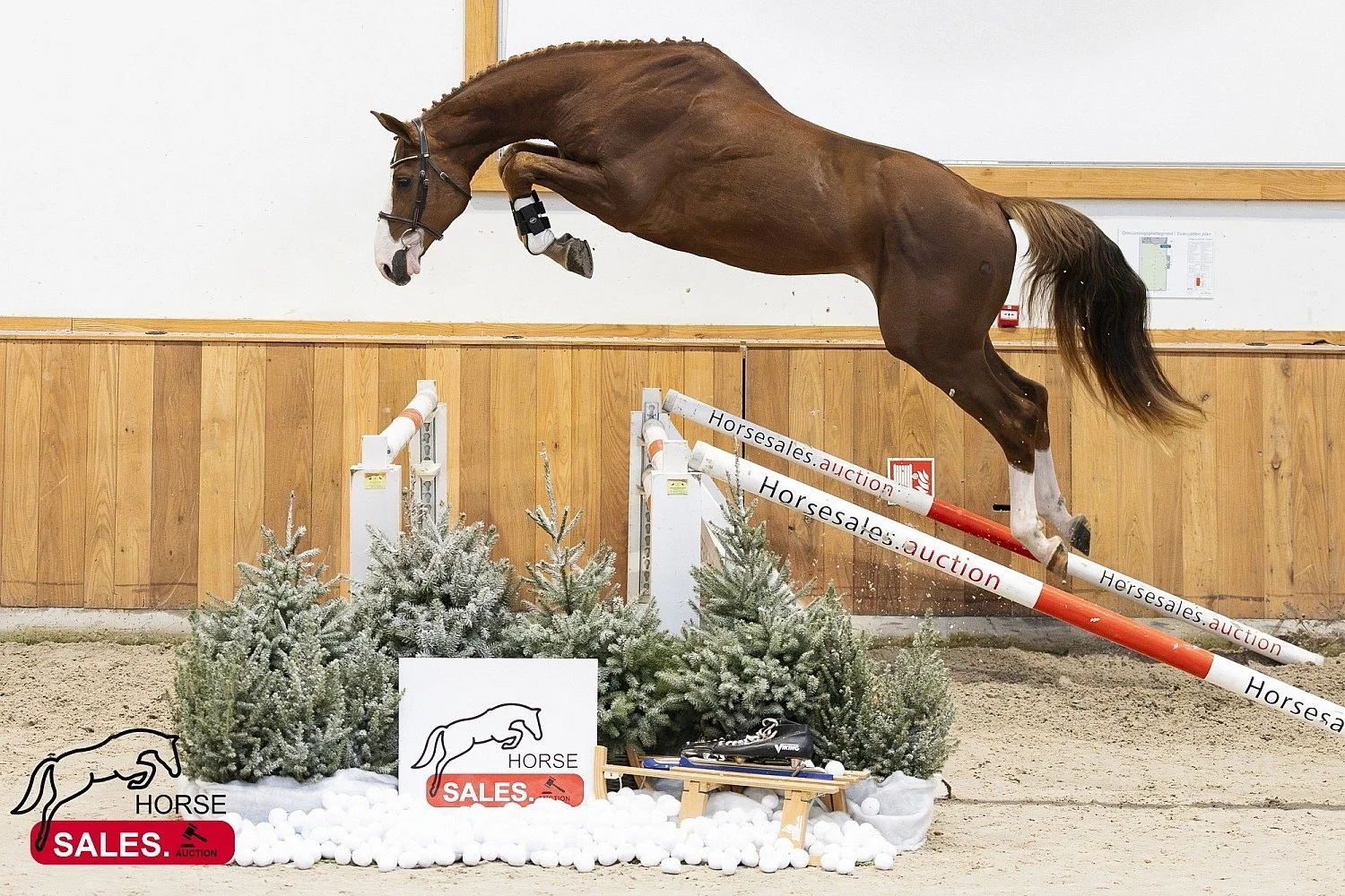 Welcome Sovereign Touch SB