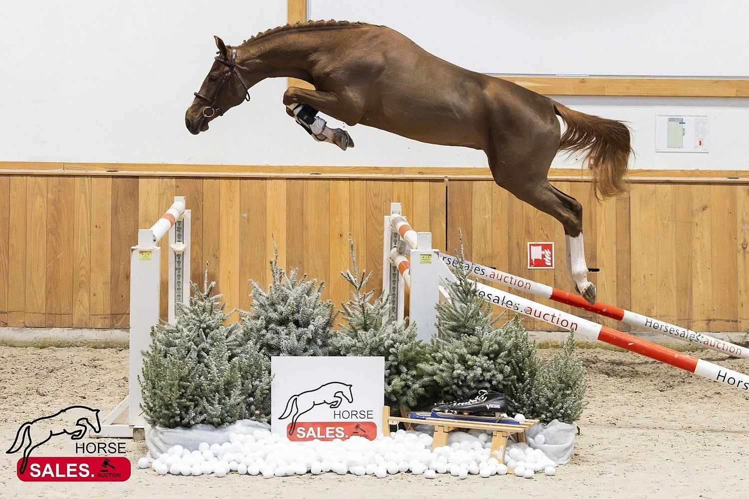 Welcome Karamba WB Z