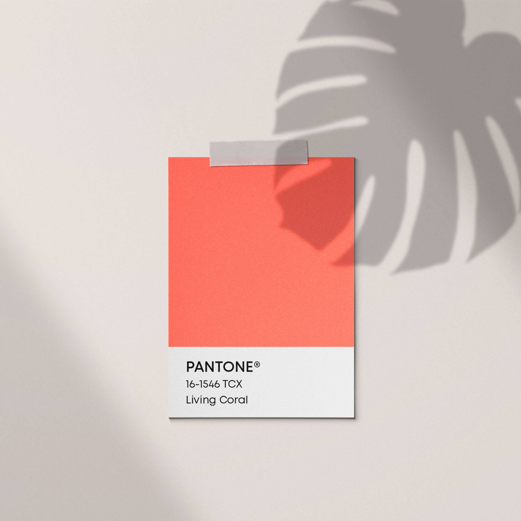 Trend Farbe 2019 – Living Coral