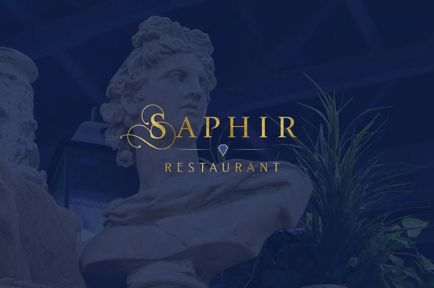 saphir-Logo_roman.jpg